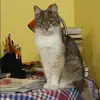 Отзыв от Лада Бабушкина